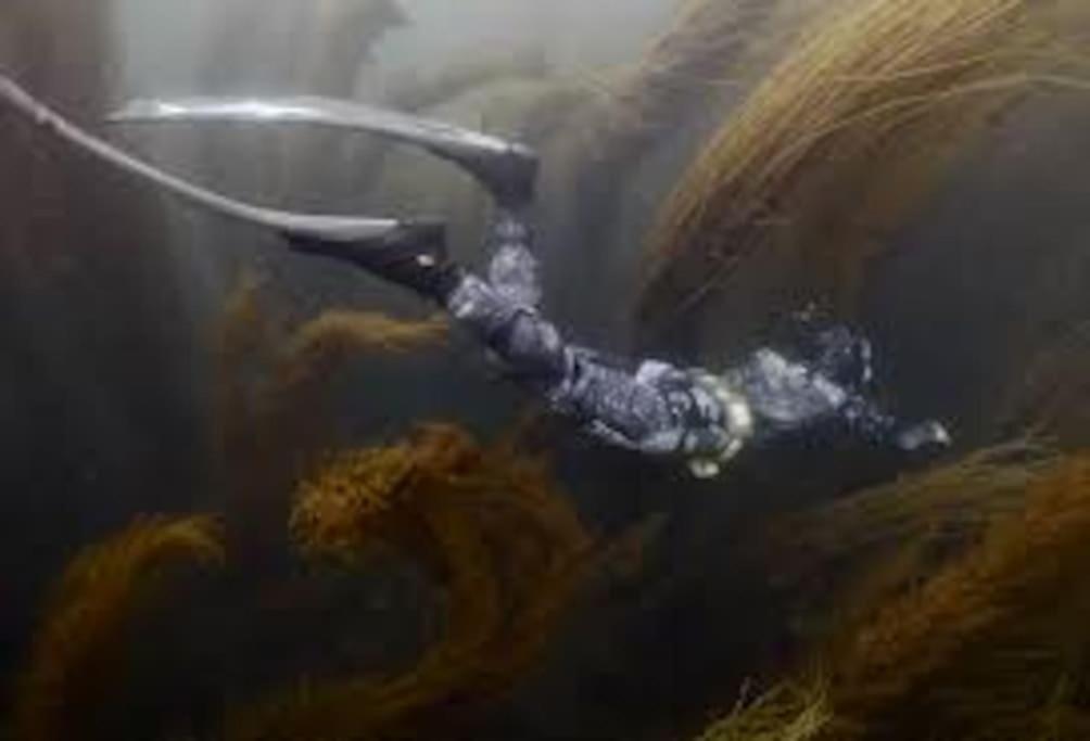 Gite Entre Mer Et Abers Landéda Eksteriør bilde