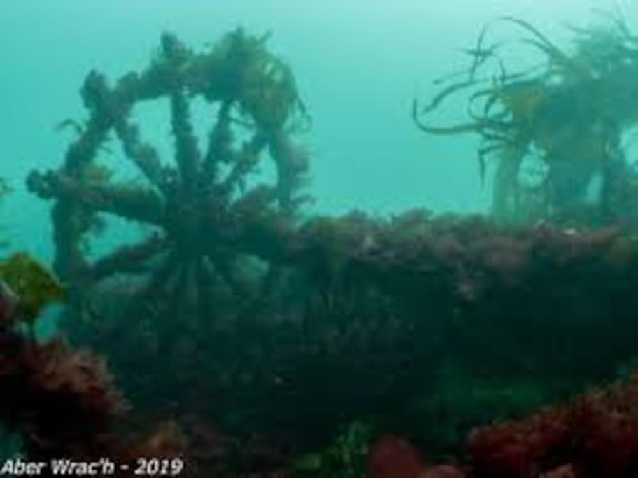 Gite Entre Mer Et Abers Landéda Eksteriør bilde